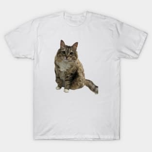 Luna the car, front parking T-Shirt